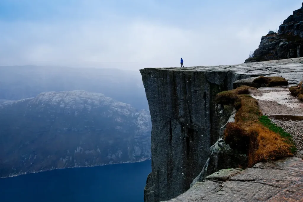 A bear is standing on the side of a cliff.