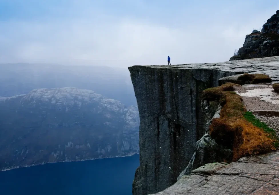 A bear is standing on the side of a cliff.